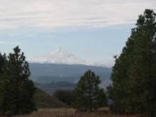 view from private parcel Mt. Hood